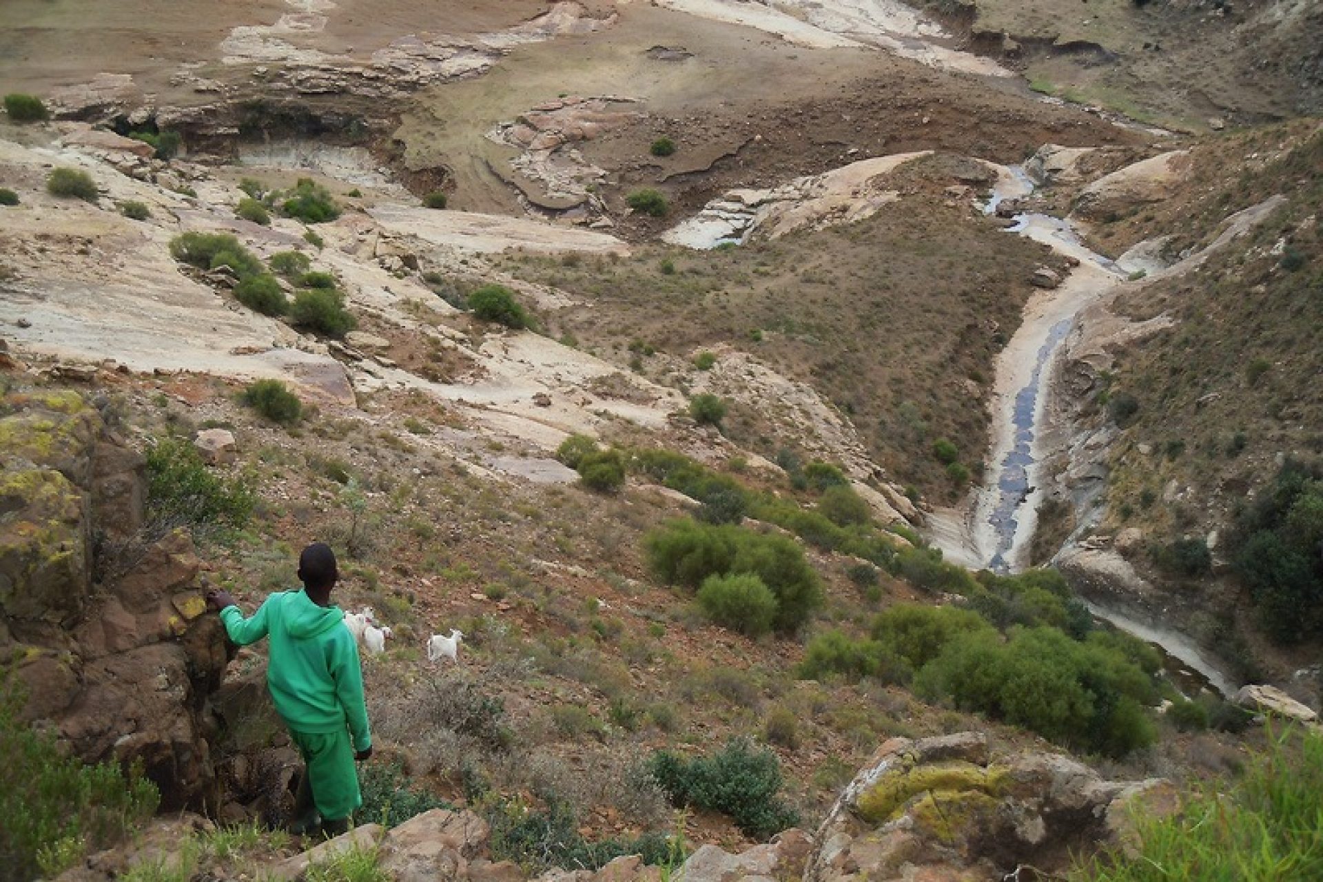 2019-02-25_easterncapelandscape