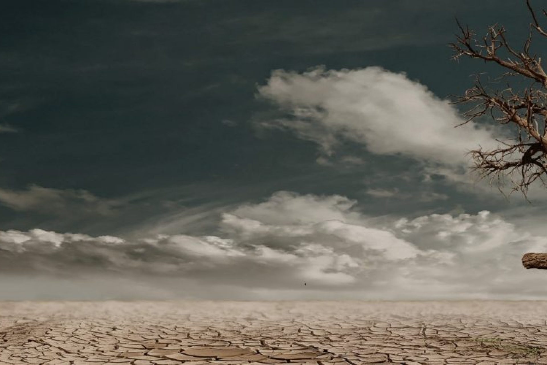 WUN_event_cover_photo