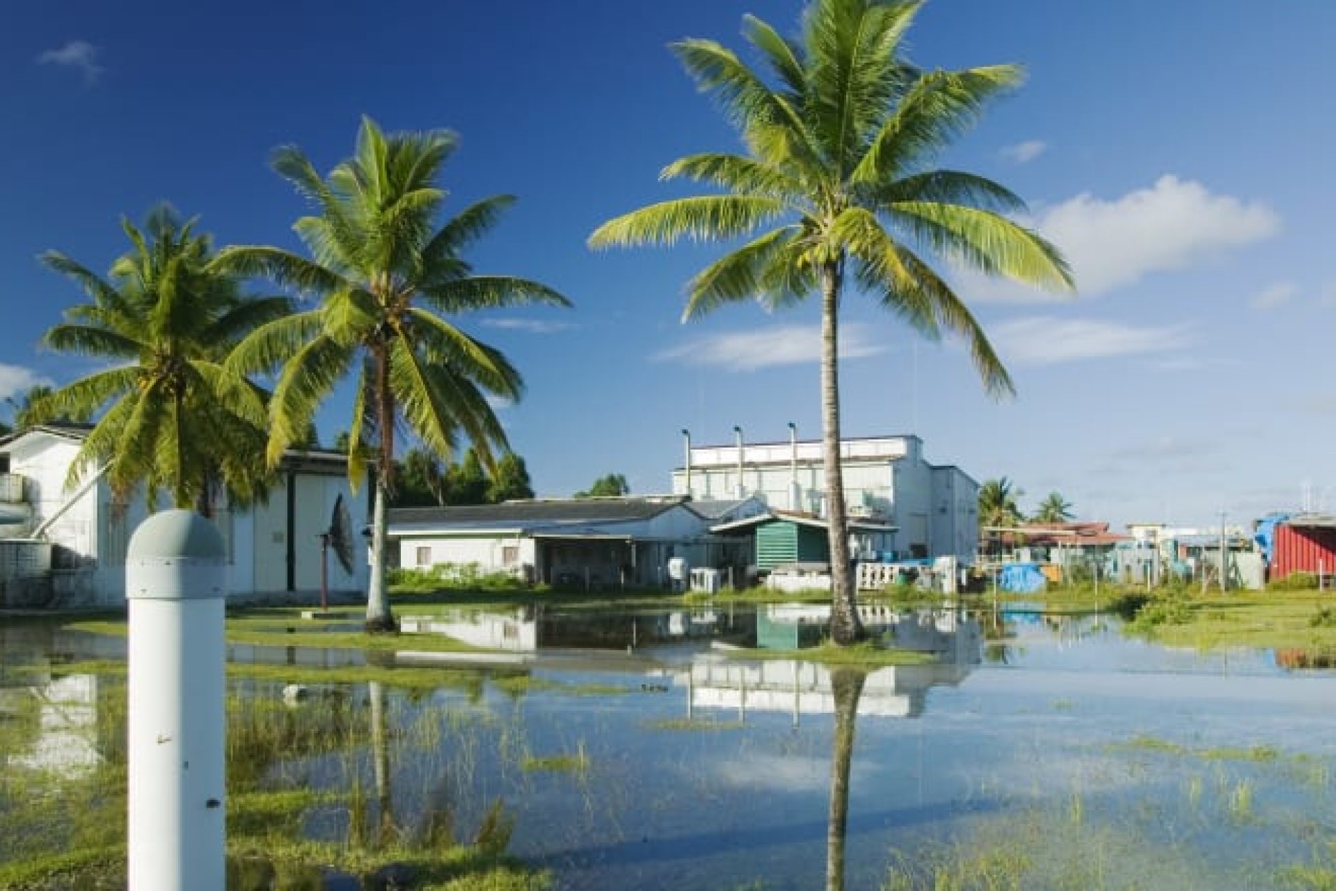 Z8f7jsw15gfxJVlo2Jp0