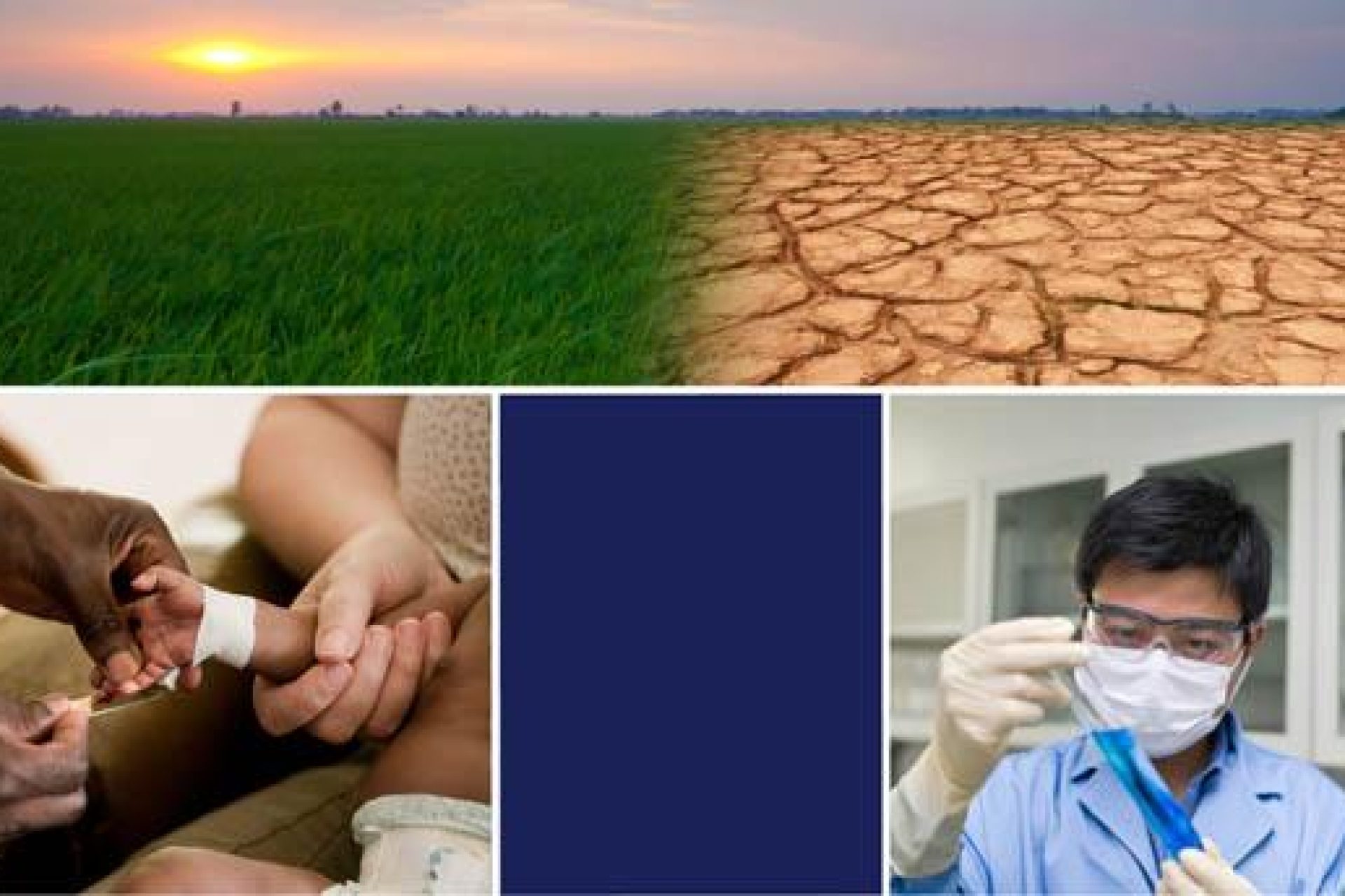 globalchallengemontage