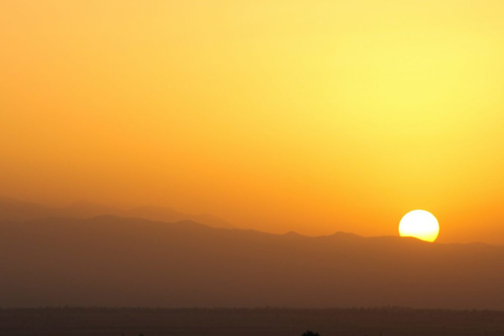 kseniia-zaitseva-qTR_sMede2Q-unsplash