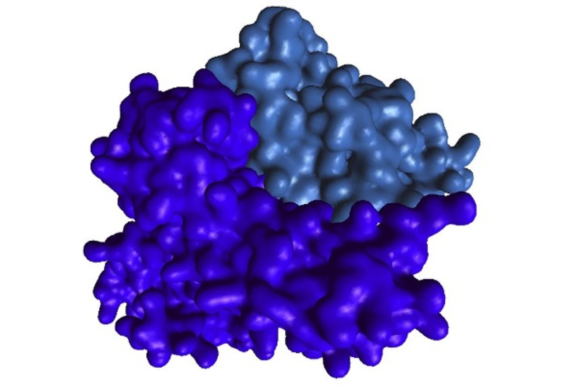 protein_protein_interaction